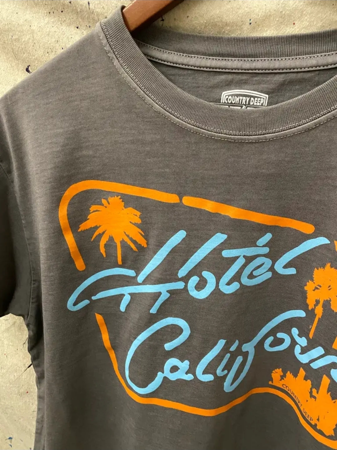 Hotel California Vintage Relaxed Crop T-Shirt