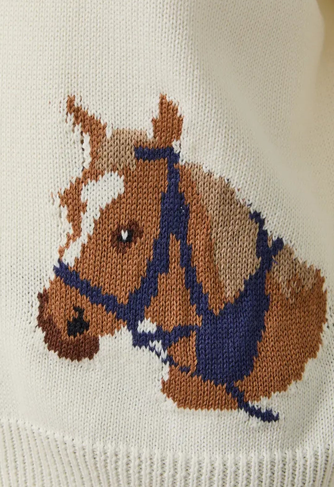 "Horse" Graphic Cardigan