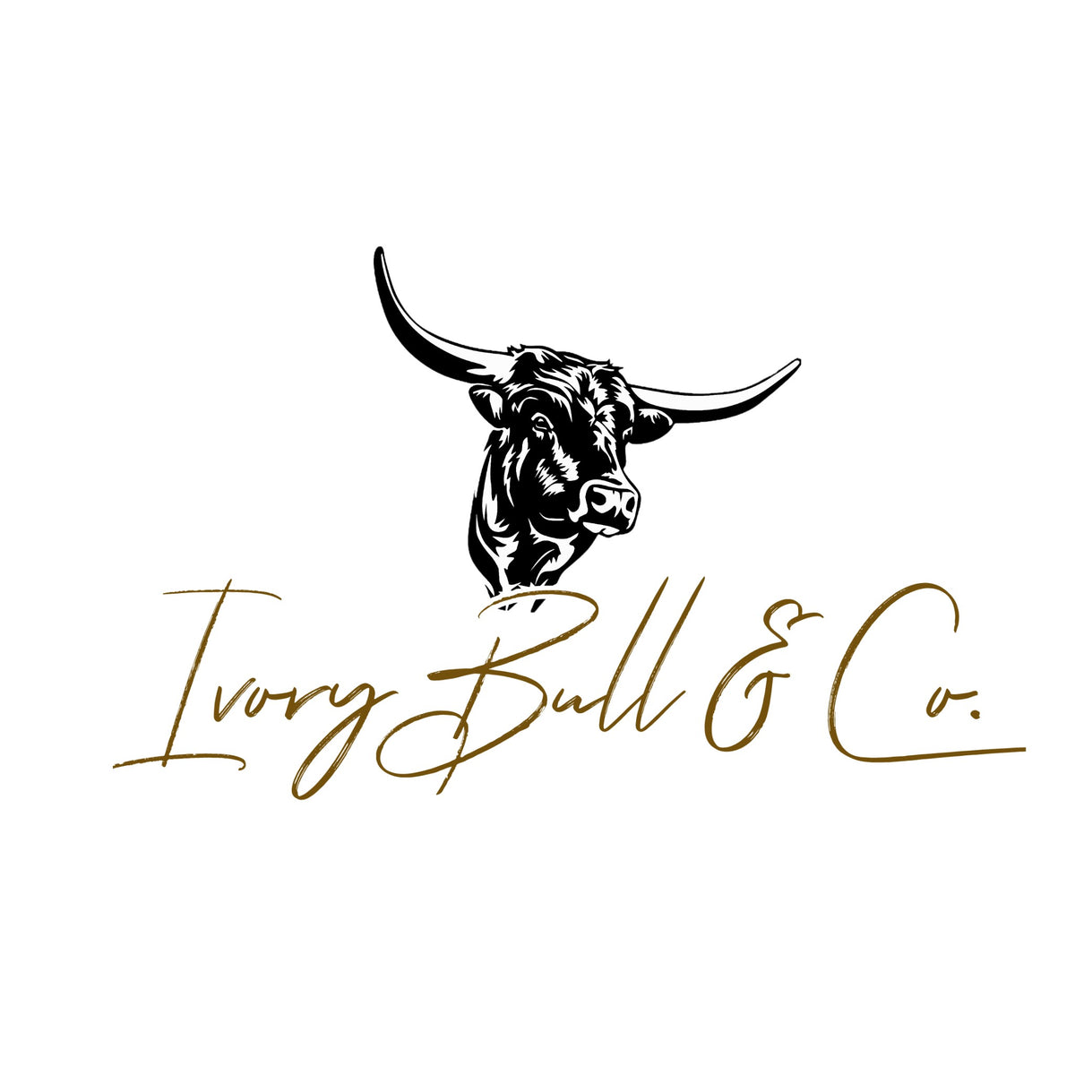 Clothing & Accessories Boutique – Ivory Bull & Co.