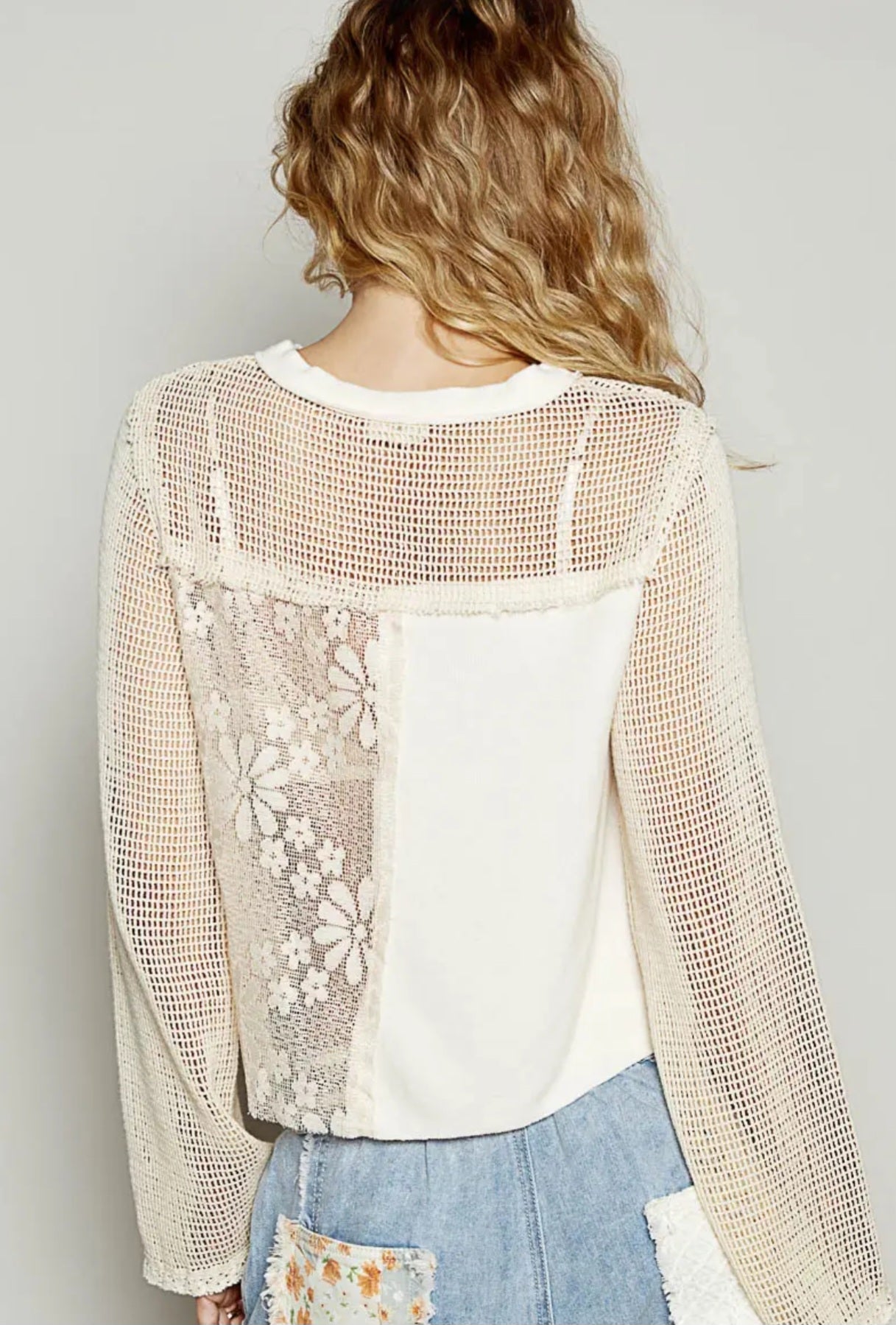 Long Sleeve Lace Crochet Top