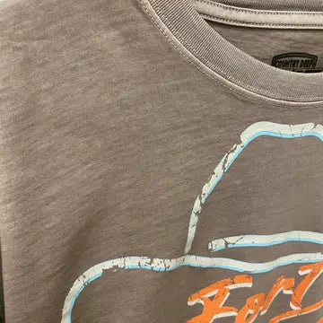 Fort Worth Rodeo Vintage Relaxed Crop T-Shirt