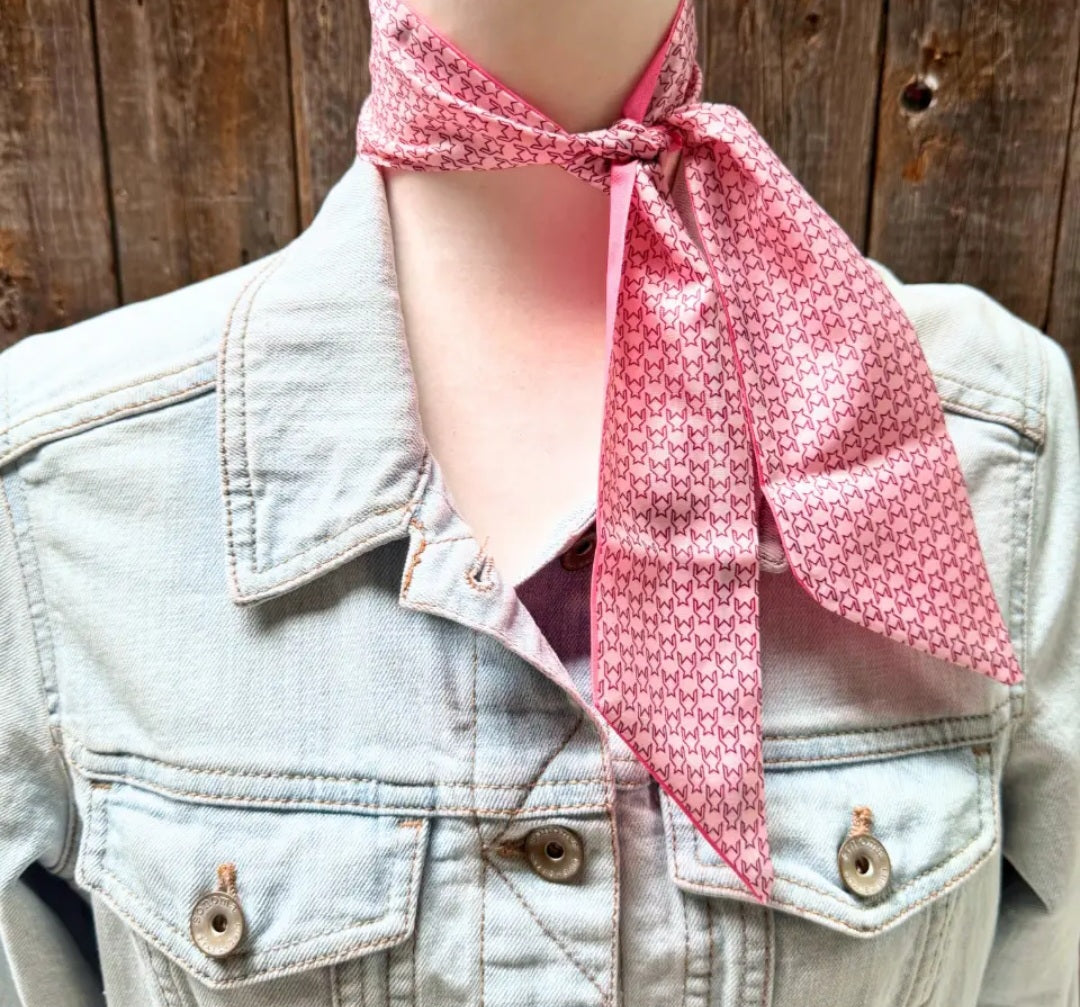 Pink Western Skinny Mini Wild Rag Scarf Cowgirl Necktie