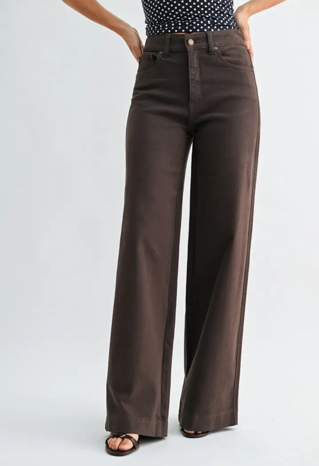 Dark Brown High Rise Wide Leg