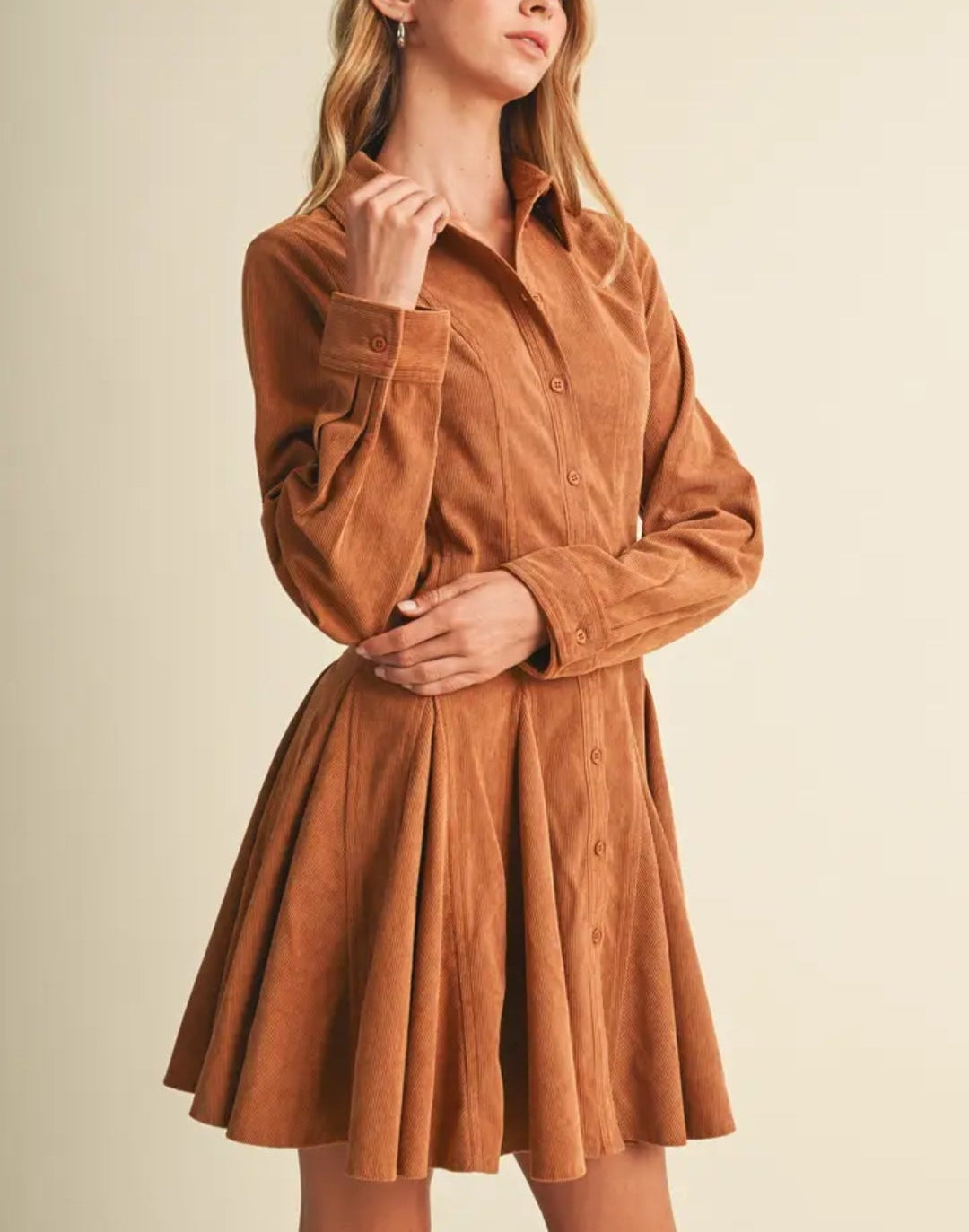 Adi Princess-Seam Corduroy Shirt Dress