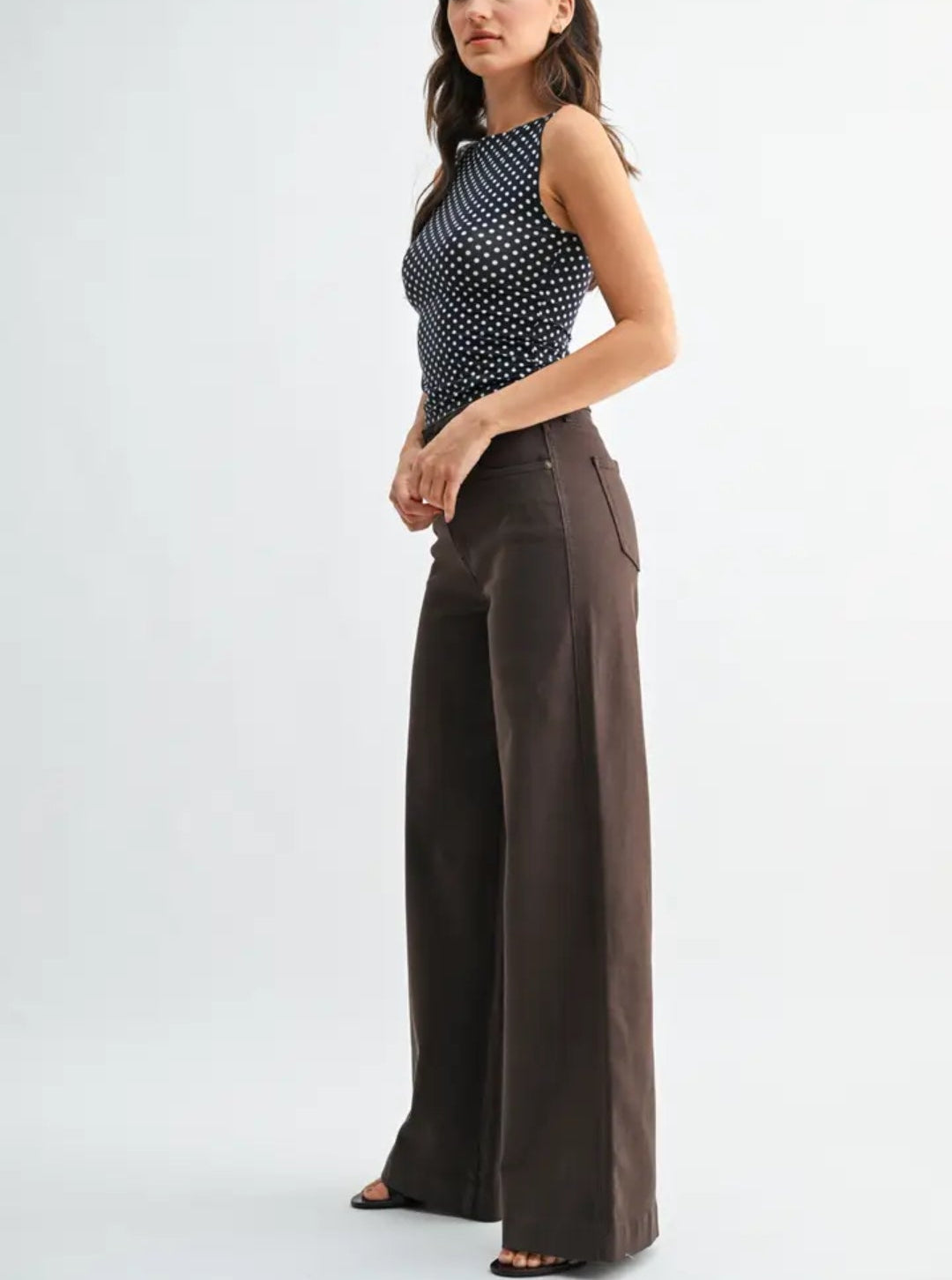 Dark Brown High Rise Wide Leg