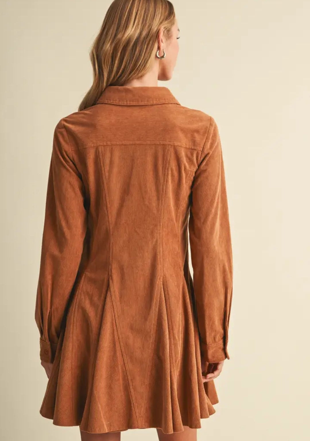 Adi Princess-Seam Corduroy Shirt Dress