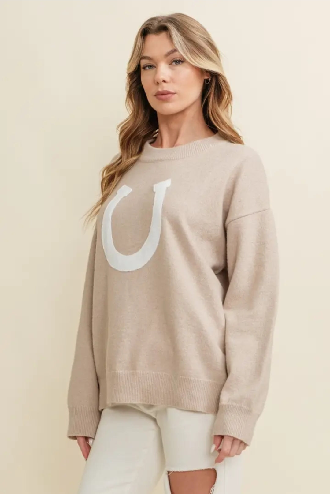 Horse Shoe Pullover Sweater