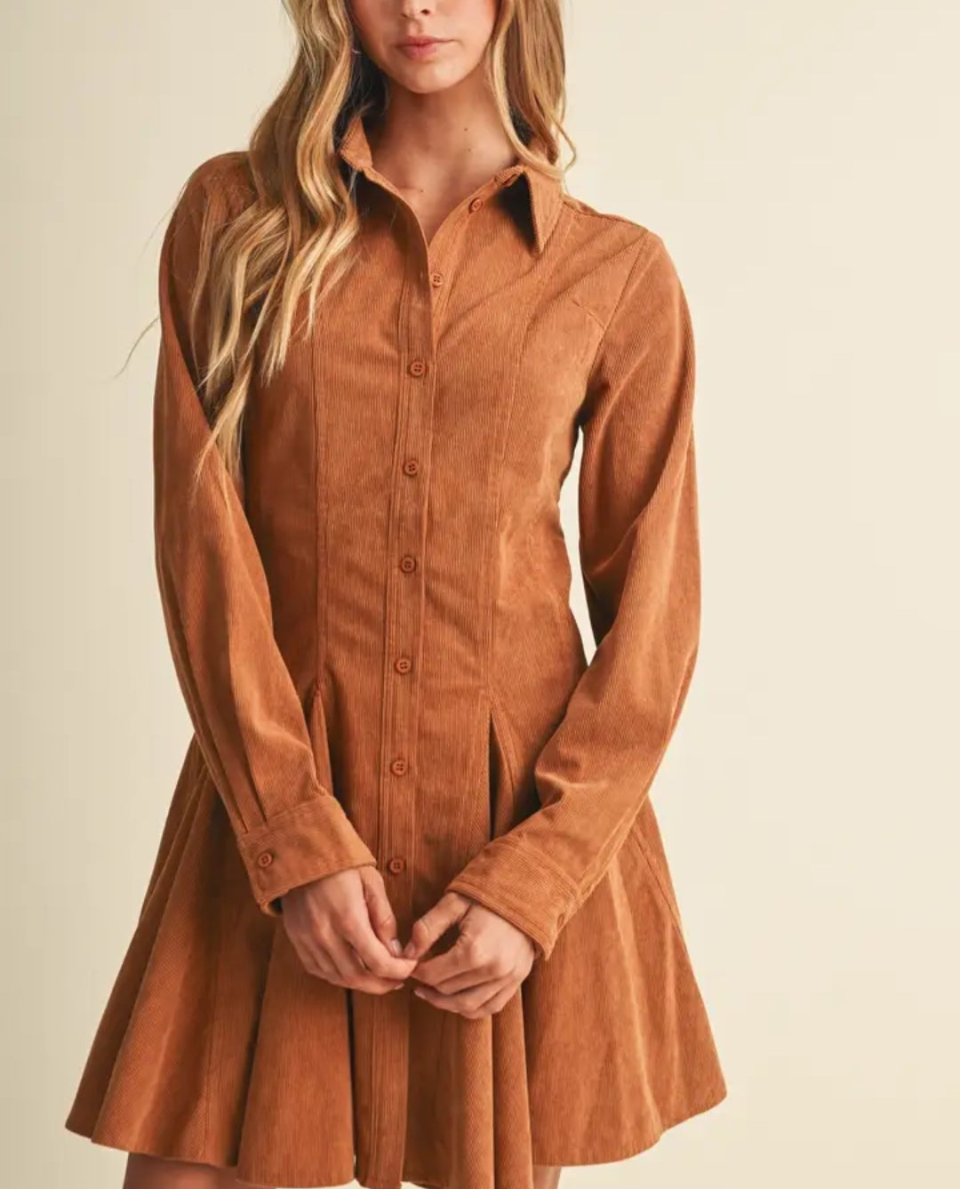 Adi Princess-Seam Corduroy Shirt Dress